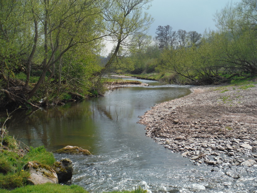 Spring on the upper Monnow